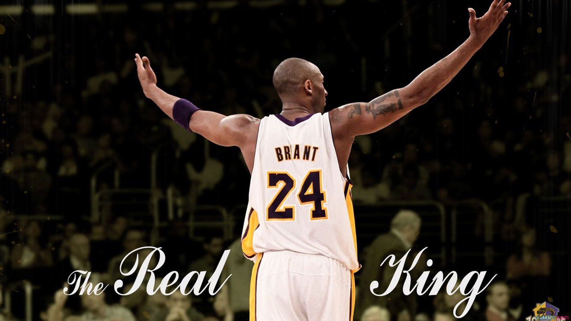 NBA为球员制定可持续生活指南，响应全球环保倡议，nba生涯持球时间排行榜